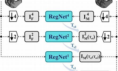 regnet 源码